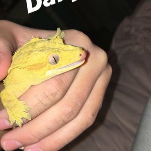 Meet your Posher, Brian